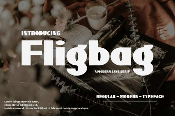 Fligbag: A Modern Sans Display Font for Editorial Design