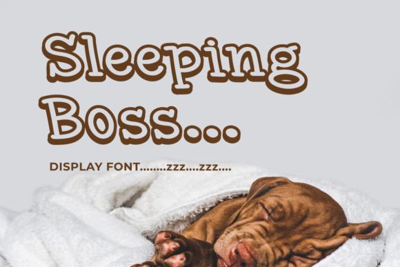 Sleeping Boss: The Minimalist Display Font for Modern Brands